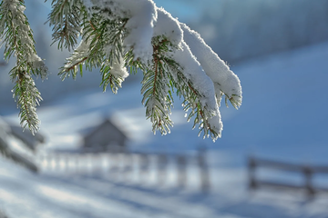 U Finskoj i Švedskoj minus 40 stepeni Celzijusovih